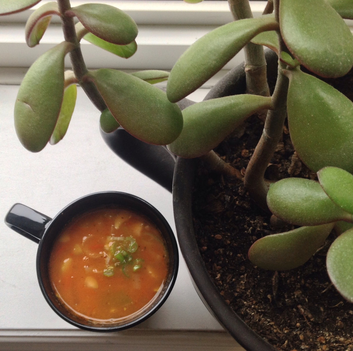 Tomato Vegetable Chickpea Soup